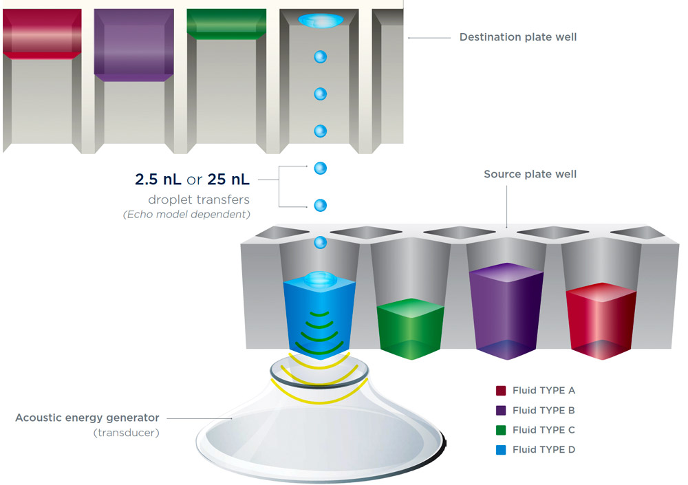 Echo Acoustic Liquid Handling Technology