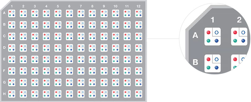 Echo Array Maker